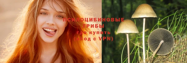 ALPHA-PVP Белокуриха