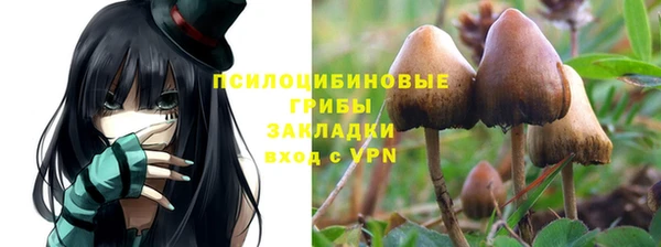 ALPHA-PVP Белокуриха