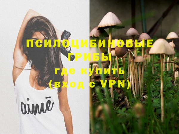 PSILOCYBIN Сосновоборск