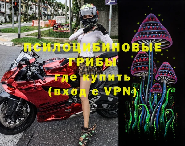 ALPHA-PVP Белокуриха