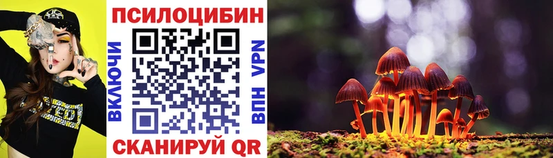 Галлюциногенные грибы прущие грибы  где купить наркоту  Няндома 